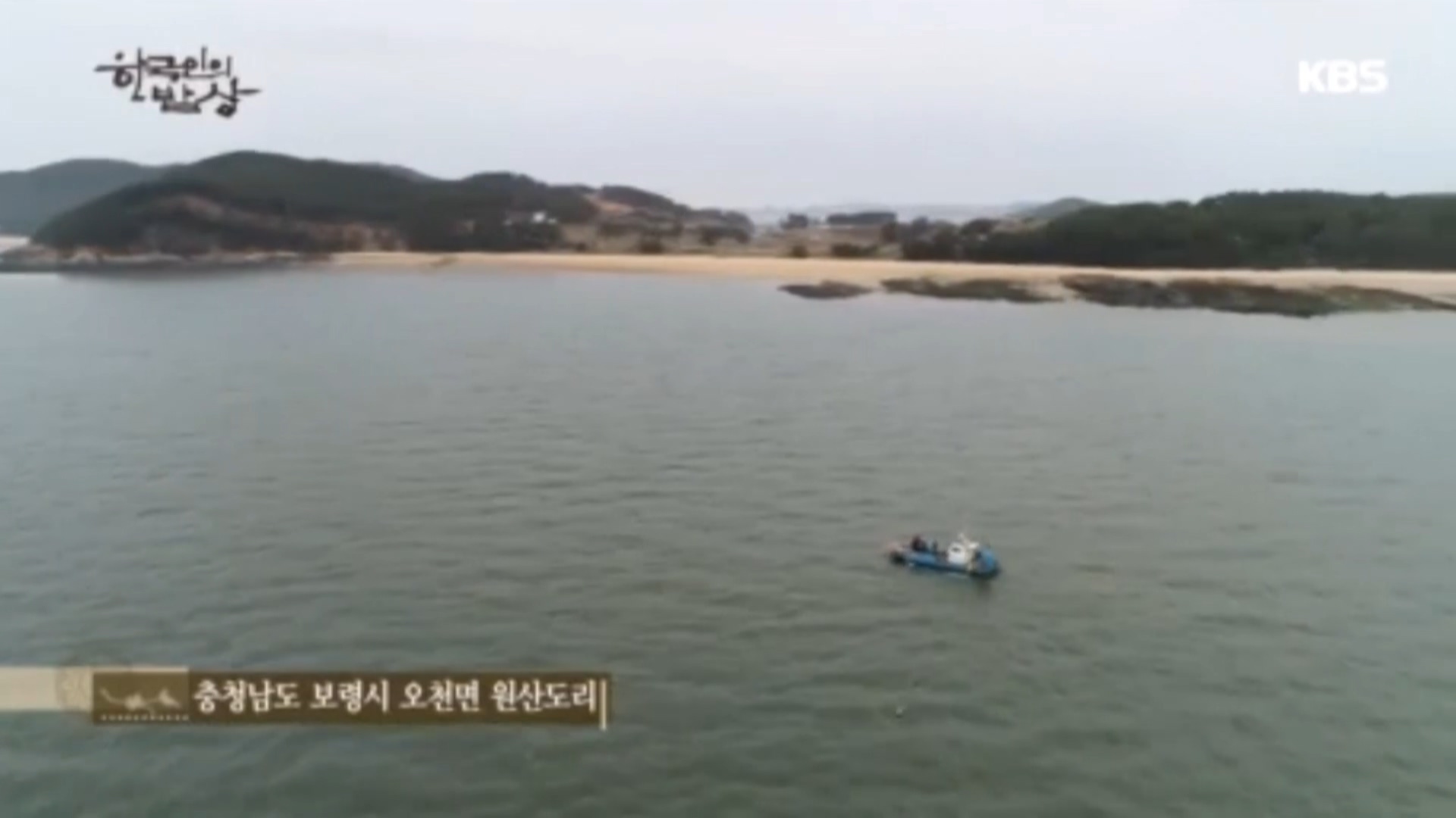 [0509 kbs 한국인의 밥상]보령 오천항 키조개 주꾸미 꼬시래기